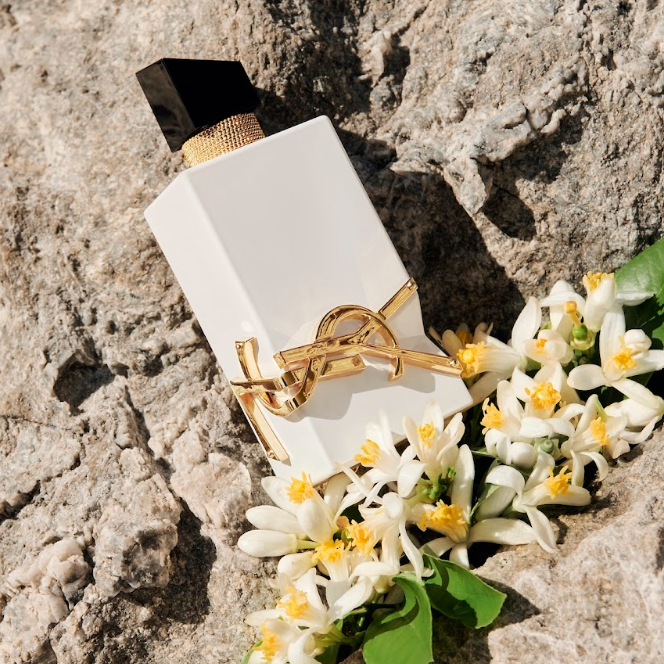 LIBRE L’EAU NUE DIA DE PERFUME